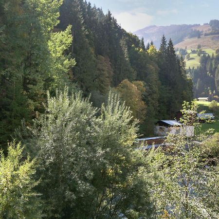 Apartment In Salzburgerland Near The Ski Area Viehhofen Eksteriør billede