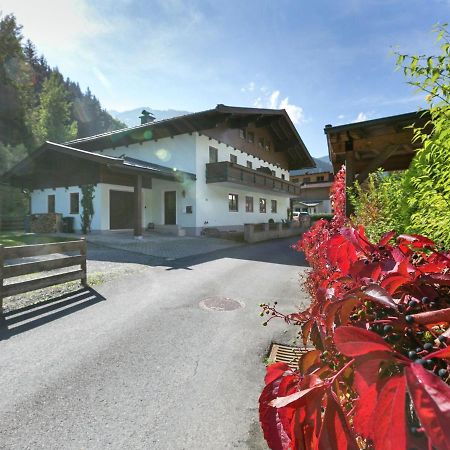 Apartment In Salzburgerland Near The Ski Area Viehhofen Eksteriør billede