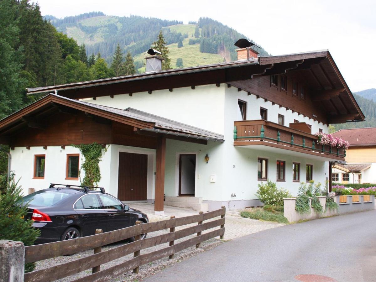 Apartment In Salzburgerland Near The Ski Area Viehhofen Eksteriør billede