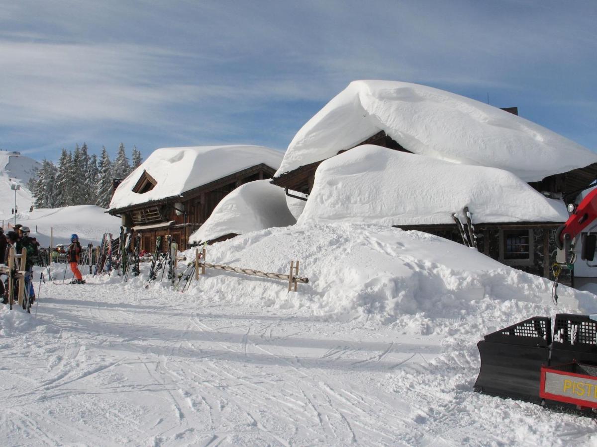 Apartment In Salzburgerland Near The Ski Area Viehhofen Eksteriør billede