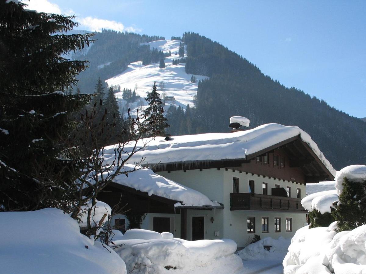 Apartment In Salzburgerland Near The Ski Area Viehhofen Eksteriør billede