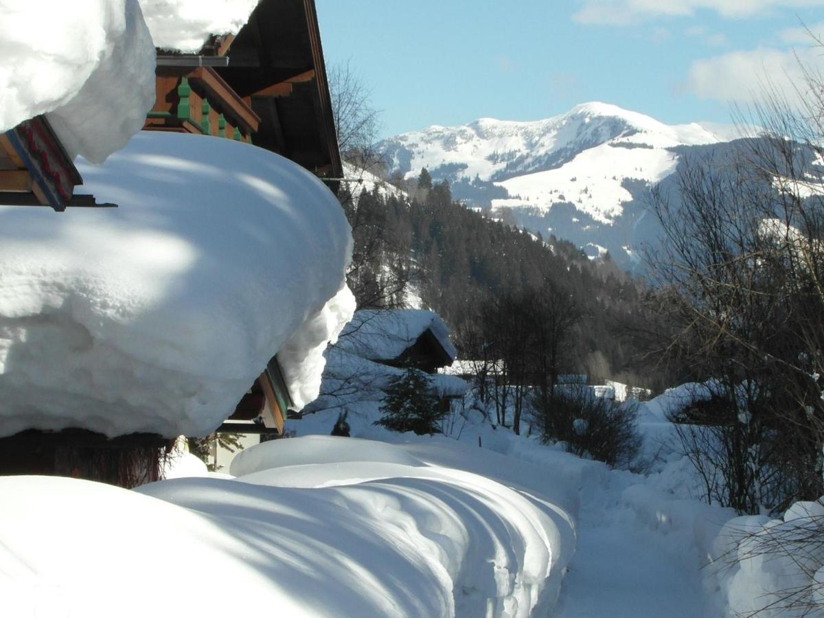 Apartment In Salzburgerland Near The Ski Area Viehhofen Eksteriør billede