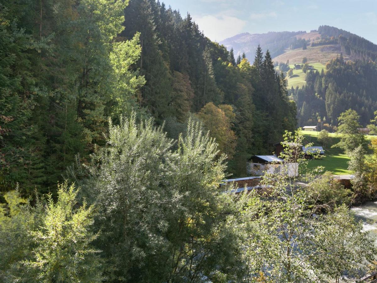 Apartment In Salzburgerland Near The Ski Area Viehhofen Eksteriør billede