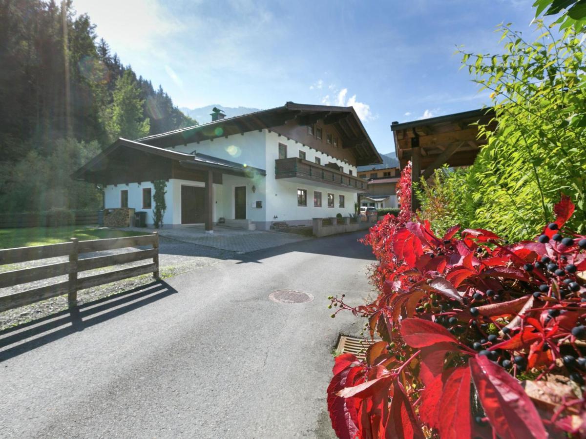 Apartment In Salzburgerland Near The Ski Area Viehhofen Eksteriør billede