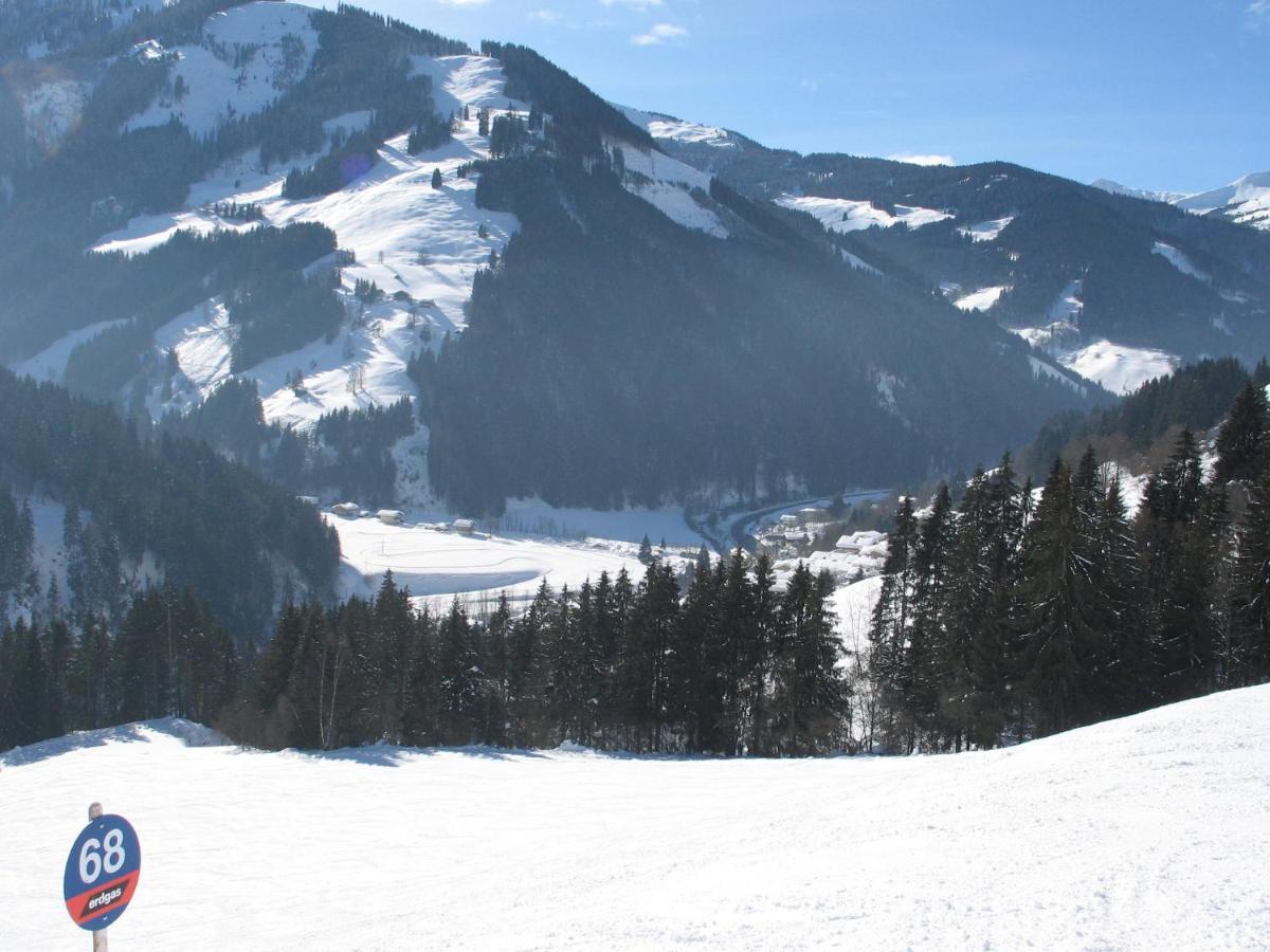 Apartment In Salzburgerland Near The Ski Area Viehhofen Eksteriør billede