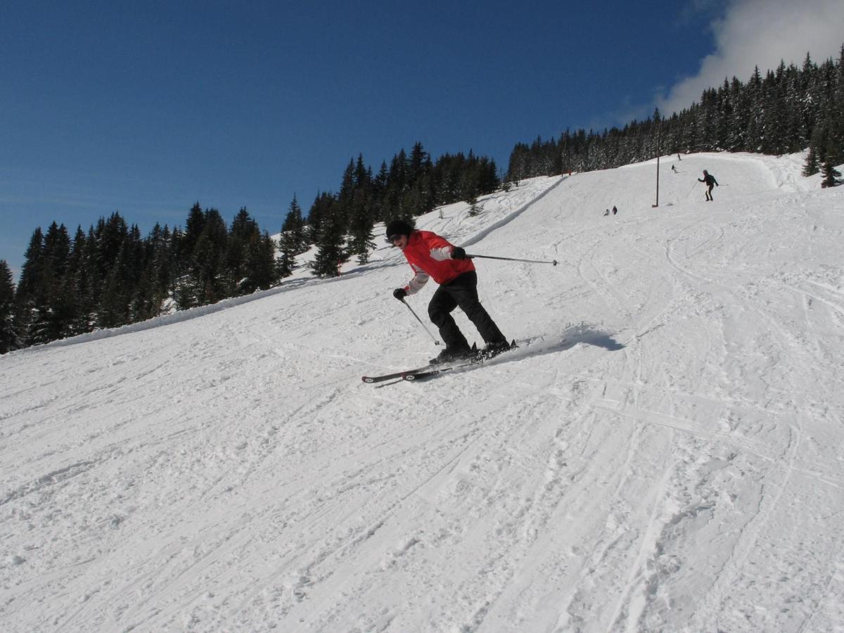 Apartment In Salzburgerland Near The Ski Area Viehhofen Eksteriør billede
